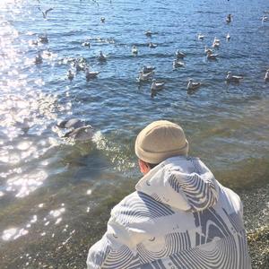 久草视频福利在线观看
